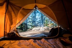 Top 10 Adventure Activities in Rishikesh You Must Try